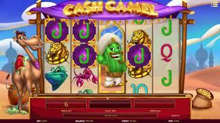Cash Camel slot from iSoftBet - Gameplay
