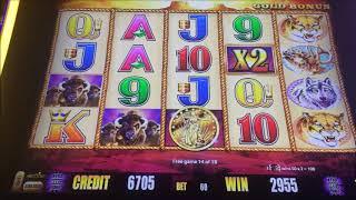 New Channel name & BIG WIN BONUS on Buffalo Gold Slot Machine!!