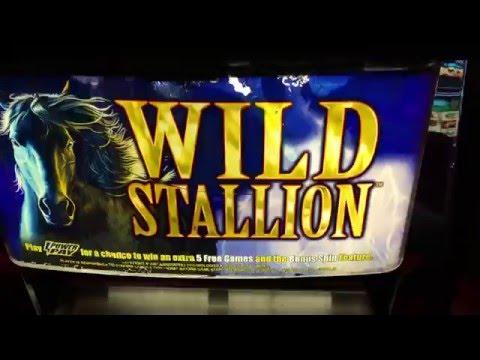 ✩ Nice Win - Wild Stallion 2¢ ✩ Free Games ♠ SlotTraveler ♠ Slot Machine Bonus