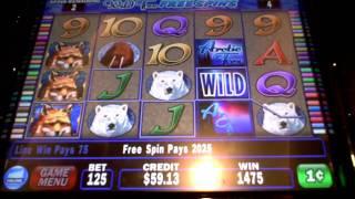 Arctic Fox slot machine bonus win at Parx Casino at Philly Park