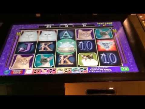 Kitty Glitter HANDPAY jackpot high limit slots bonus win