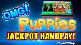 *JACKPOT HANDPAY* - OMG! PUPPIES™ SLOT - NEW SLOT! - MAX BET! - MEGA HUGE Slot Machine Bonus