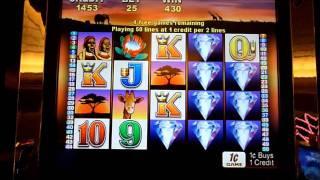 50 Lions Slot Machine Bonus Win (queenslots)