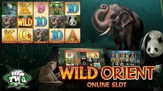 Wild Orient Online Slot from Microgaming