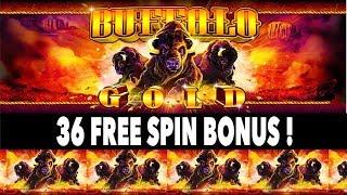 Buffalo Gold 36 Free Spin Bonus HUGE WIN !