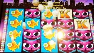 Miss Kitty Slot Machine-2 Bonuses at $2.50 Bet