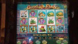 **NICE WINS!/TBT** - Gold Fish Slot Machine 3 Bonuses