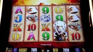 Buffalo gold slot machine,, free spins.