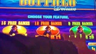 Buffalo Deluxe Slot Machine, Bonus, Picking 5x Option