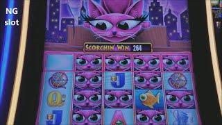 Miss Kitty Gold Slot Machine Bonus Won ! •Slot Machine Live Play•