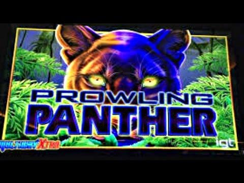 Igt - Prowling Panther : Nice Line Hit on a $1.00 bet