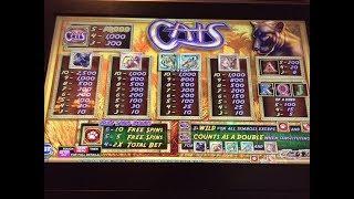 * IGT CATS * Great Slot Line Hit & Free Spin Bonus