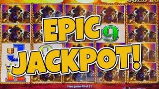 ONE OF THE BEST BUFFALO GOLD JACKPOTS EVER CAUGHT ON CAMERA!