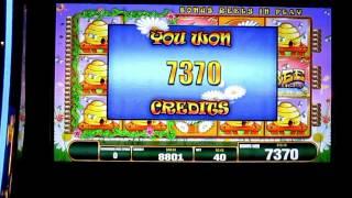 Bee Lucky Slot Big Win!