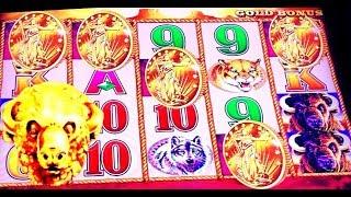 THEY KEEP COMING! 5 Bonus SYMBOLS BUFFALO GOLD slot machine DOUBLE BLESSINGS and more!