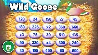 Wild Goose slot machine, bonus