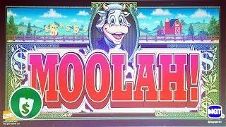 Moolah slot machine, bonus