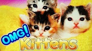OMG! Kittens Slot - Line Hits and Bonuses