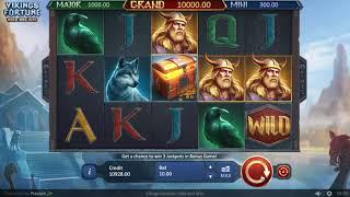 Vikings Fortune: Hold and Win Slot by Playson