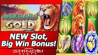 Animal's Gold Slot - New Slot, Live/Free Spins Bonuses, Big Win