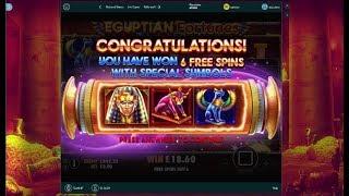 Online Slots with The Bandit - Money Tower, Mighty Tusk and More!