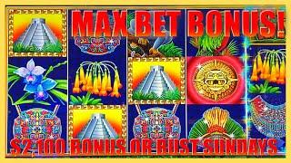 HIGH LIMIT JUNGLE WILD $25 MAX BET Bonus Round Slot Machine Casino