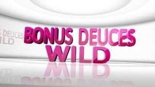 How to Play and Win Online Bonus Deuces Wild? - Slots of Vegas Video