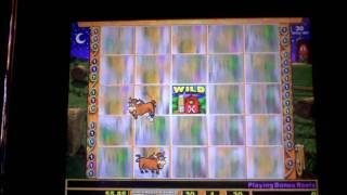 Moolah bonus penny slot machine win at Parx Casino in PA