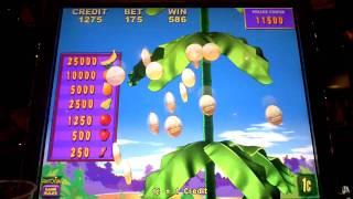 Banana King Bonus Win on Slot Machine at The Sands