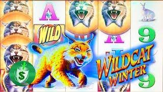 Wildcat Winter slot machine, bonus