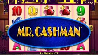 MISS KITTY GOLD Video Slot Casino Game with a CASHMAN SUITCASE BONUS