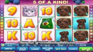 Europa Casino Cute and Fluffy Slots