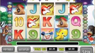 Rocking Robins Slot Machine At Intertops Casino