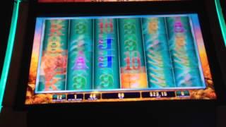 WMS' Raging Rhino Slot Machine - Secrets