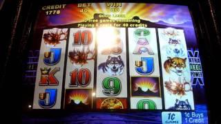 Buffalo Slot Machine Bonus Win (queenslots)