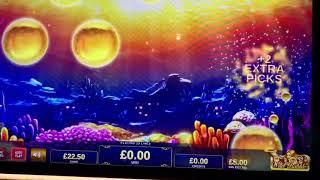 Ocean Magic Bonus max bet at the Hipperdrome London