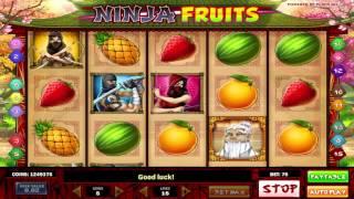 Ninja Fruits• slot machine by Play'n Go | Game preview by Slotozilla