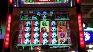 Giant Panda Slot Line Hit - Aruze