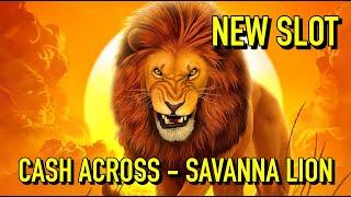 CASH ACROSS: SAVANNA LION SLOT   BIG WINS