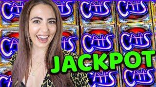 FIRST HANDPAY on Cats Slot Machine in over 3 years!