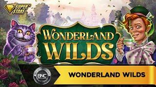 Wonderland Wilds slot by StakeLogic