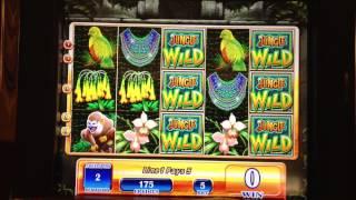 $1 Jungle Wild Slot Bonus