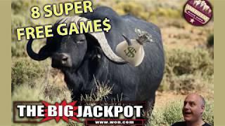 • The Raja Wins On Buffalo Gold During 8 Super Free Games! •