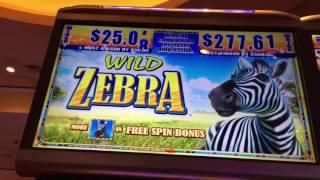SG/WMS - WILD ZEBRA - BONUS and PROGRESSIVE - South Point Casino