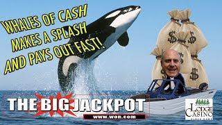 • The Raja Makes a Splash on Whales of Cash and Wins! •