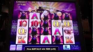 Aristocrat - Buffalo Wins - Sands Hotel and Casino - Bethlehem, PA