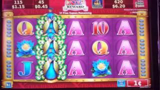 Adorned Peacock **NICE WIN** 50 Free Games