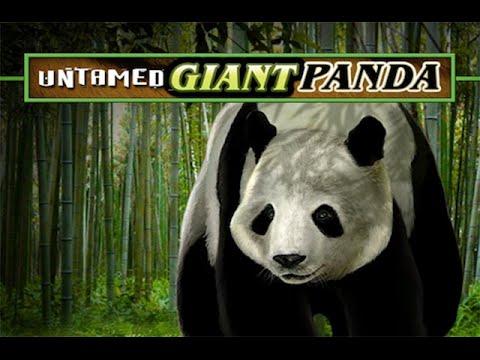 Free Untamed Giant Panda slot machine by Microgaming gameplay ★ SlotsUp