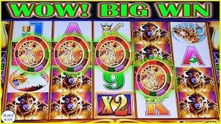 • WOW 4 COINS TRIGGER PAID OFF•️ BIG WIN ON BUFFALO GOLD REVOLUTION INSANE SPINS