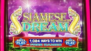Saimese Dream slot machine, DBG